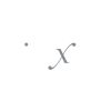 Direxion Daily TSLA Bull 2X Shares